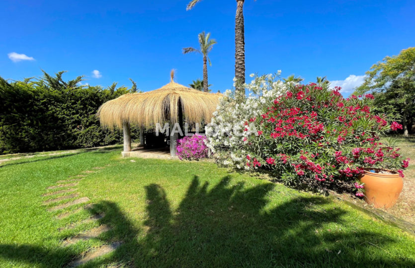chill out outiside garden wood stone mallorquin plants dining table chairs palm trees bright binissalem finca traditional home for sale mallorca
