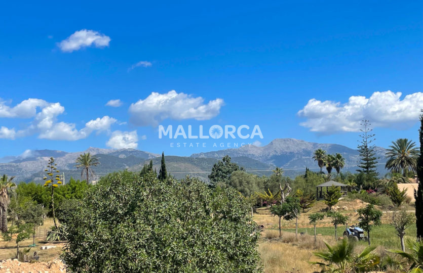 mountain view scenary blue sky trees palm finca binissalem traditional home for sale mallorca mallorquin