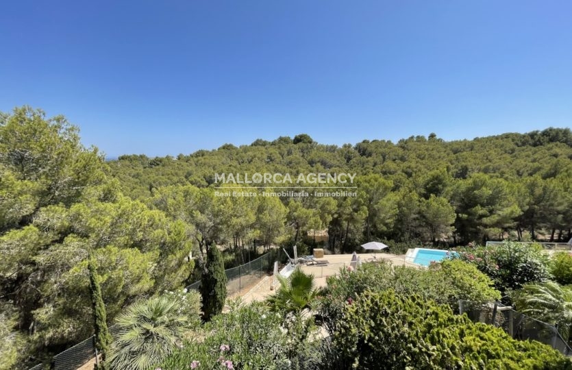 Views of trees forest in stylish modern duplex for sale in sol de mallorca