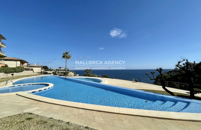Pool Sol de Mallorca