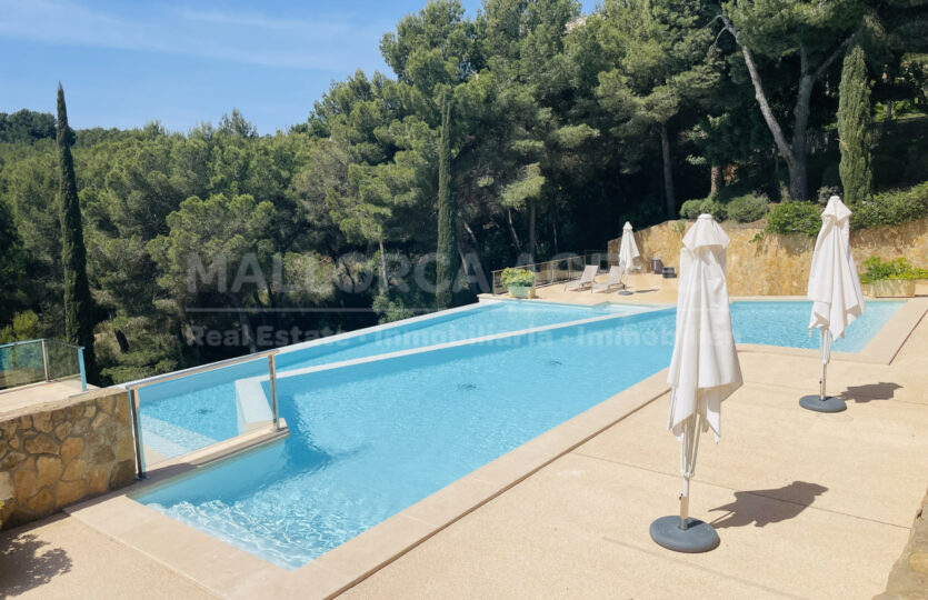 pool Sol de Mallorca