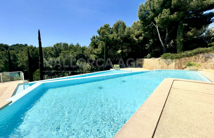 pool Sol de Mallorca