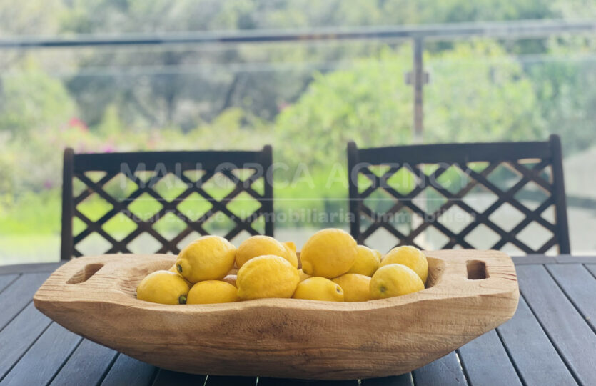 lemons Sol de Mallorca