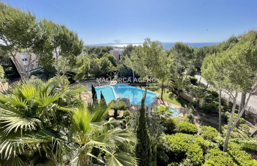 view pool Sol de Mallorca